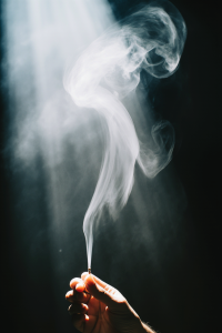 ¿Para qué sirve el palo santo en la casa? Los 7 beneficios que no esperabas